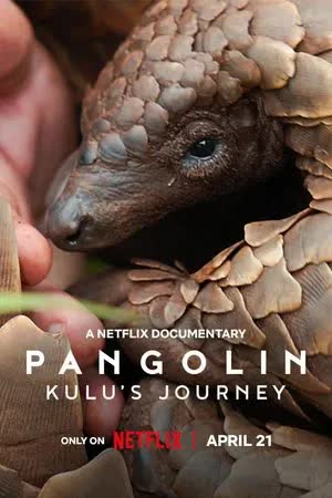 Pangolin (2025) การเดินทางของคูลู