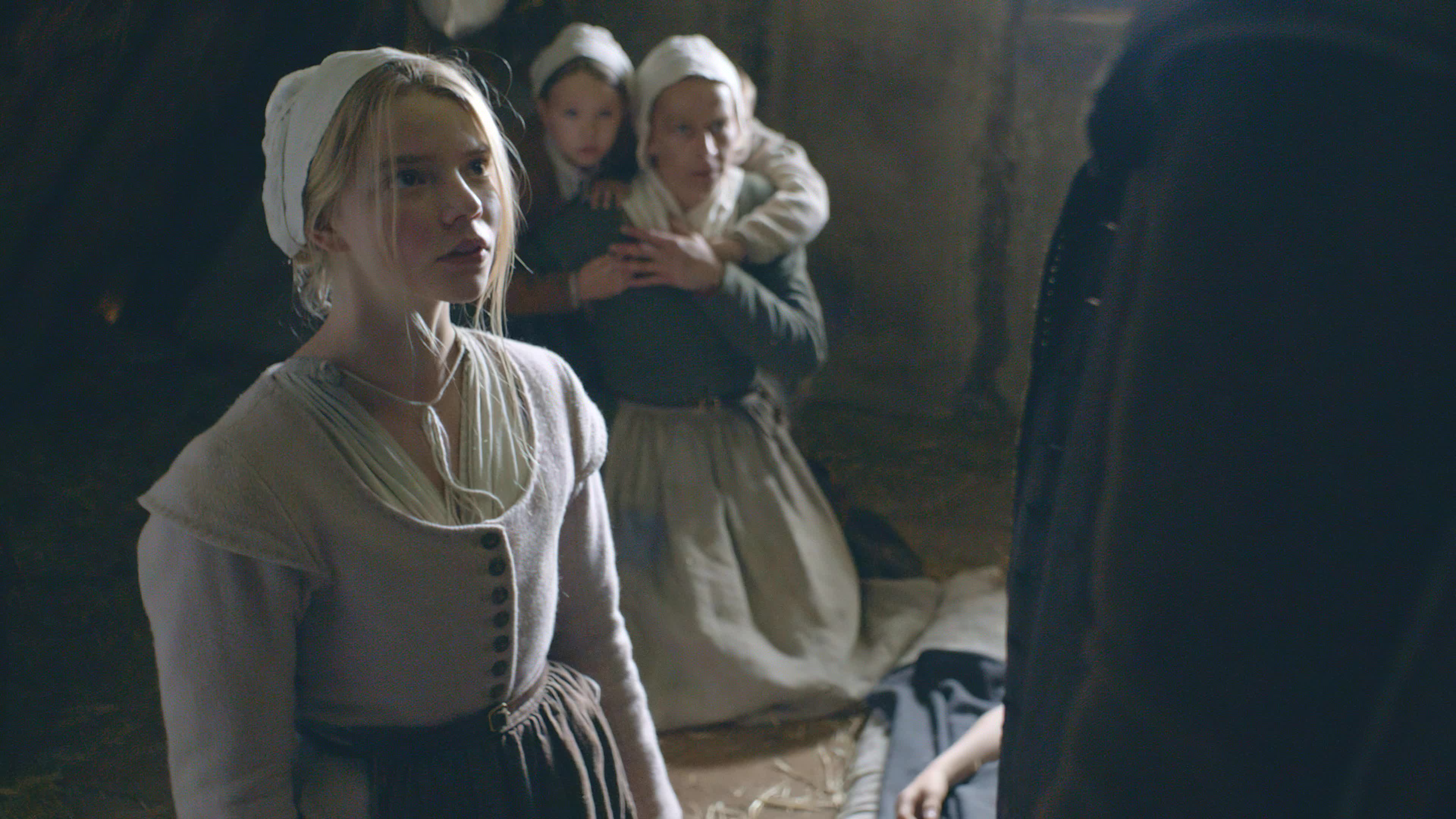 The Witch (2015) อาถรรพ์แม่มดโบราณ