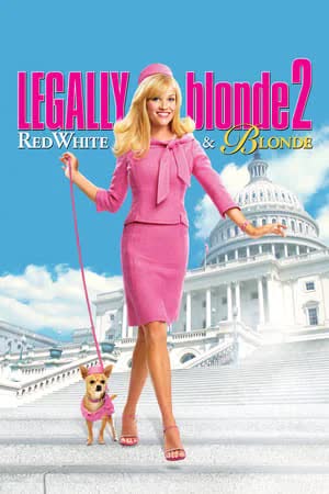 Legally Blonde (2003) ลีกัลลี่ บลอนด์ สาวบลอนด์ หัวใจดี๊ด๊า 2