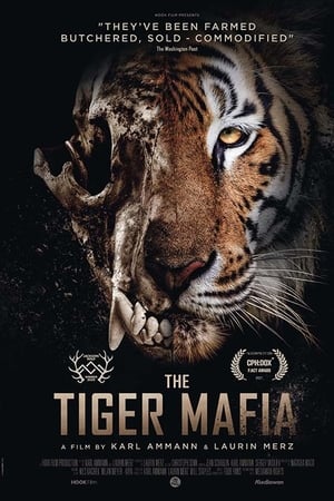 The Tiger Mafia (2016) [NoSub]