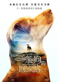 A Dog's Way Home (2019) เพื่อนรักผจญภัยสี่ร้อยไมล์ 