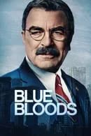 Blue Bloods Season 14 (2024) บลูบลัดส์ สายเลือดผู้พิทักษ์