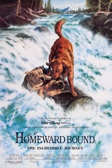 Homeward Bound The Incredible Journey (1993) สองหมาหนึ่งแมว ใครจะพรากเราไม่ได้