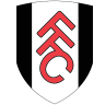 Newcastle United vs Fulham